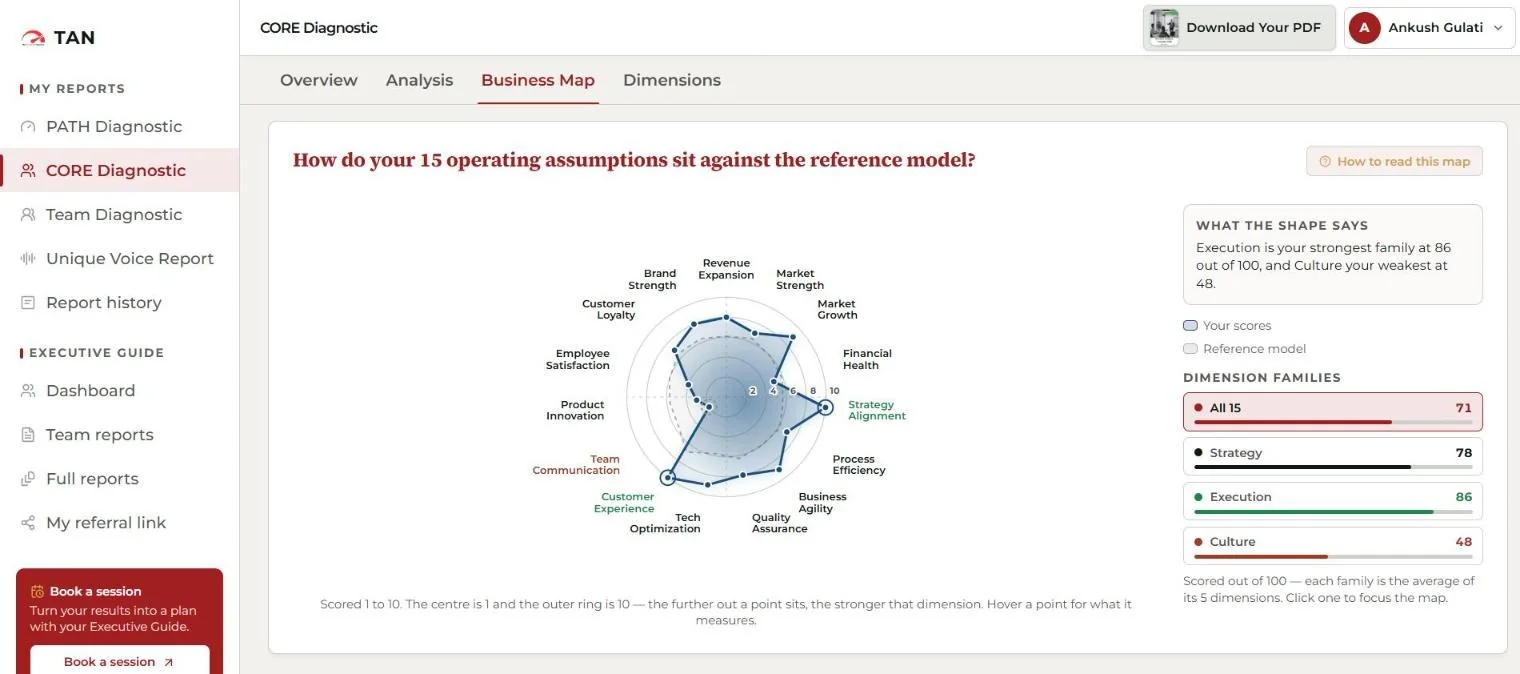 The live CAARMO business map: fifteen dimensions scored against a reference model on a radar chart, with Strategy, Execution and Culture family scores.
