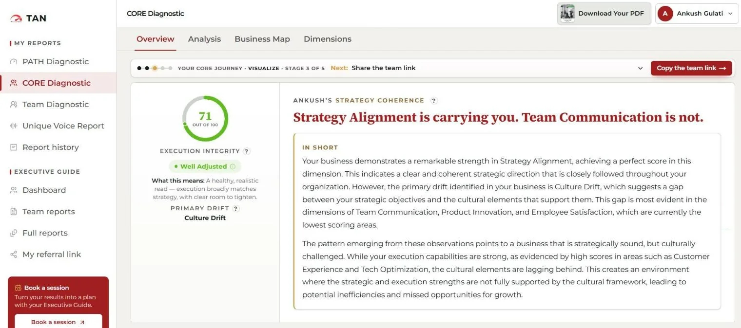 The live CAARMO diagnostic, running under a partner brand: an execution-integrity score of 71 out of 100, the primary drift named, and a written analysis generated from the scores, with a one-click PDF download.