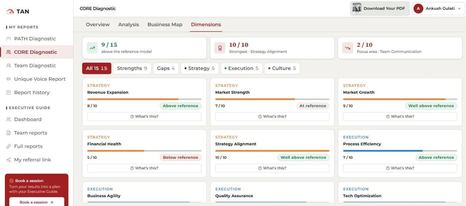A custom diagnostic platform built by Datavoris, live: fifteen business dimensions each scored out of ten against a reference model, filterable into strengths and gaps.
